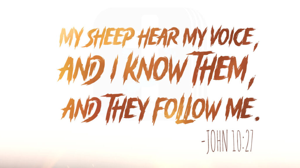 John 10:27 Bible Quotes Mobile Wallpapers